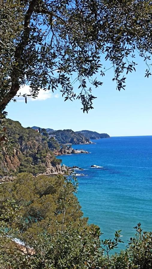 Daro Apartments Platja d'Aro Zewnętrze zdjęcie